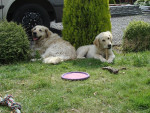 Dille en Stacey
