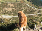 Terra in Zwitserland