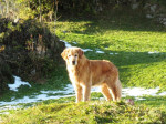 Terra